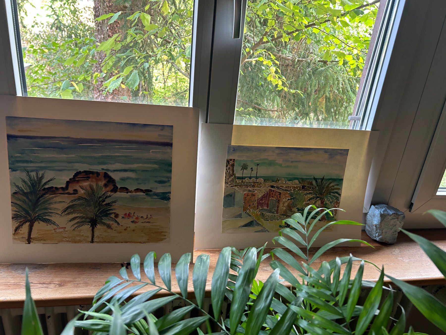 Foto & Immagini: Aquarelle Arne Siegfried – Usato da Schaffhausen venduto da amwr 7