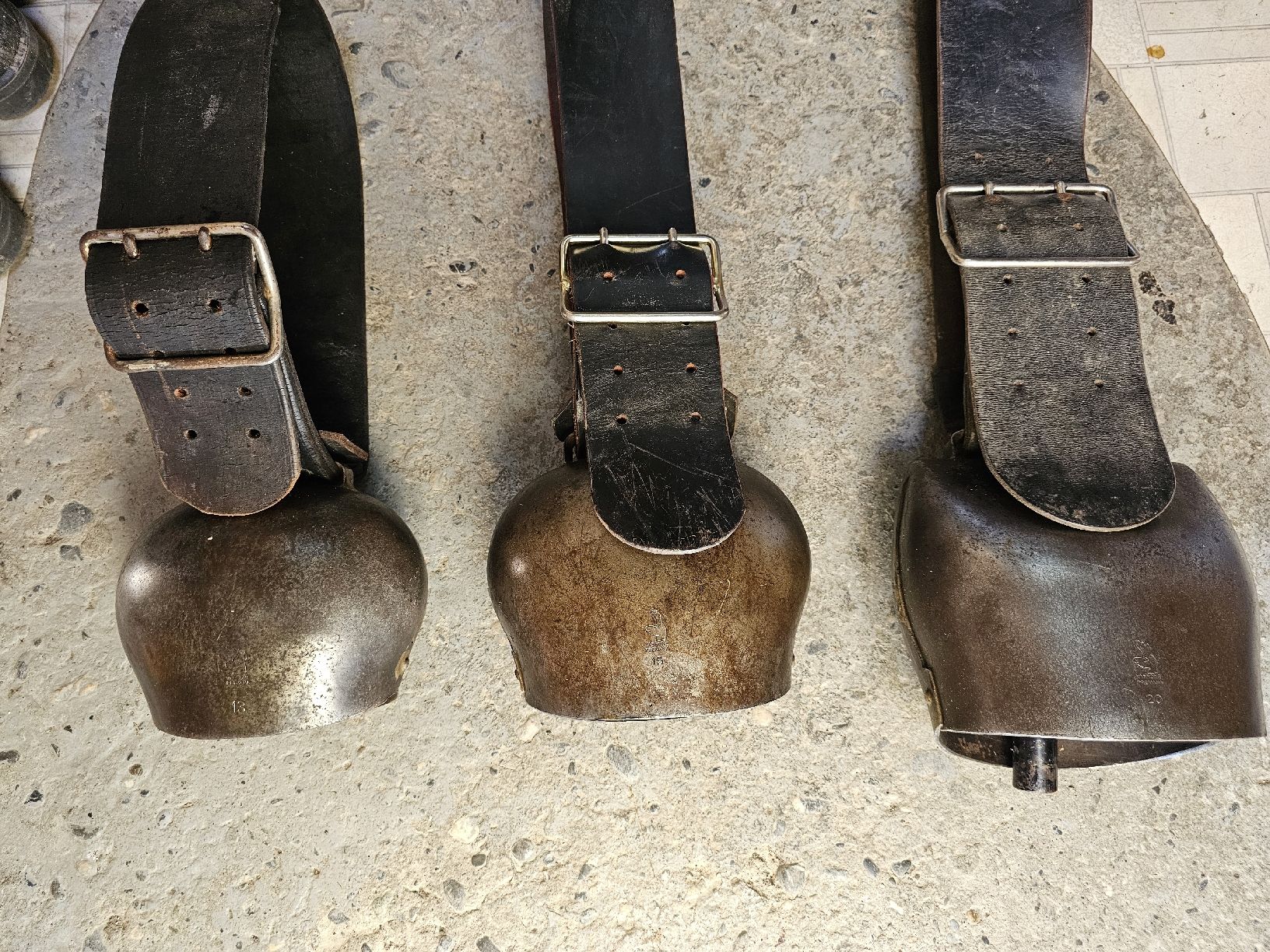 Campanacci mucche: 3 varrone – Usato da Gams venduto da mar_6hjp