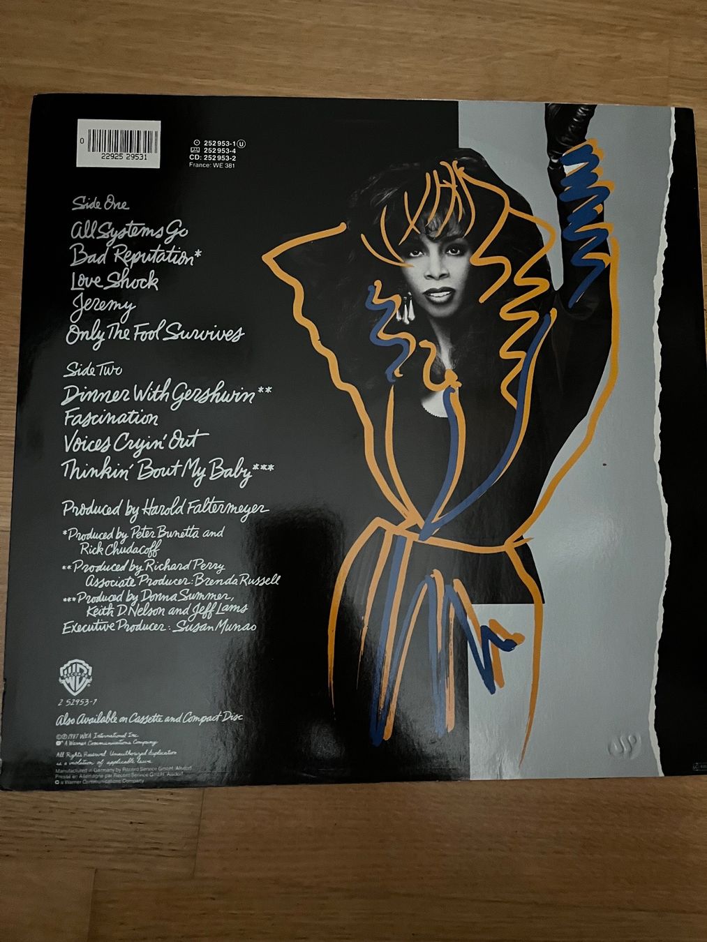 Dischi in vinile: Donna Summer – All Systems Go – Usato da Frauenfeld venduto da Philz 1