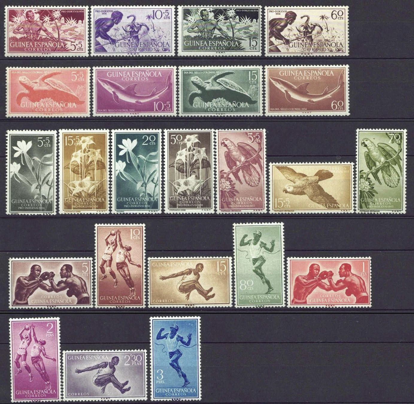 Tutti i francobolli: Span Guinea 1954-1958 5 kompl Sätze postfrisch** – Usato da Basel venduto da Pfefferschootte