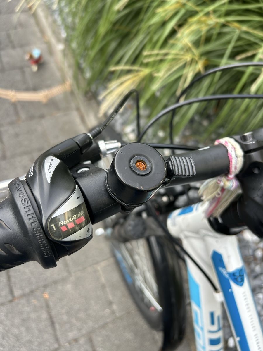 Biciclette: Kinderrad 24 Zoll – Usato da Sins venduto da cristalli 5
