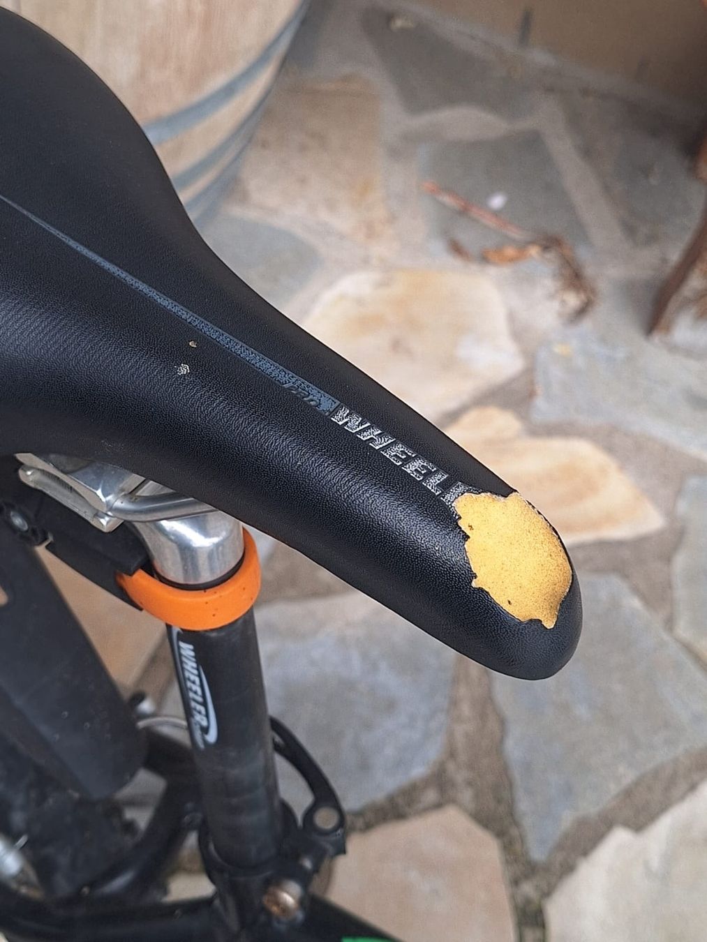 Wheeler Biciclette: Wheeler trail 8.0 – Usato da Eptingen venduto da HackerPschorr 3