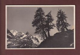 Am Weg zur Albignahütte - CIMA DI CANTONE