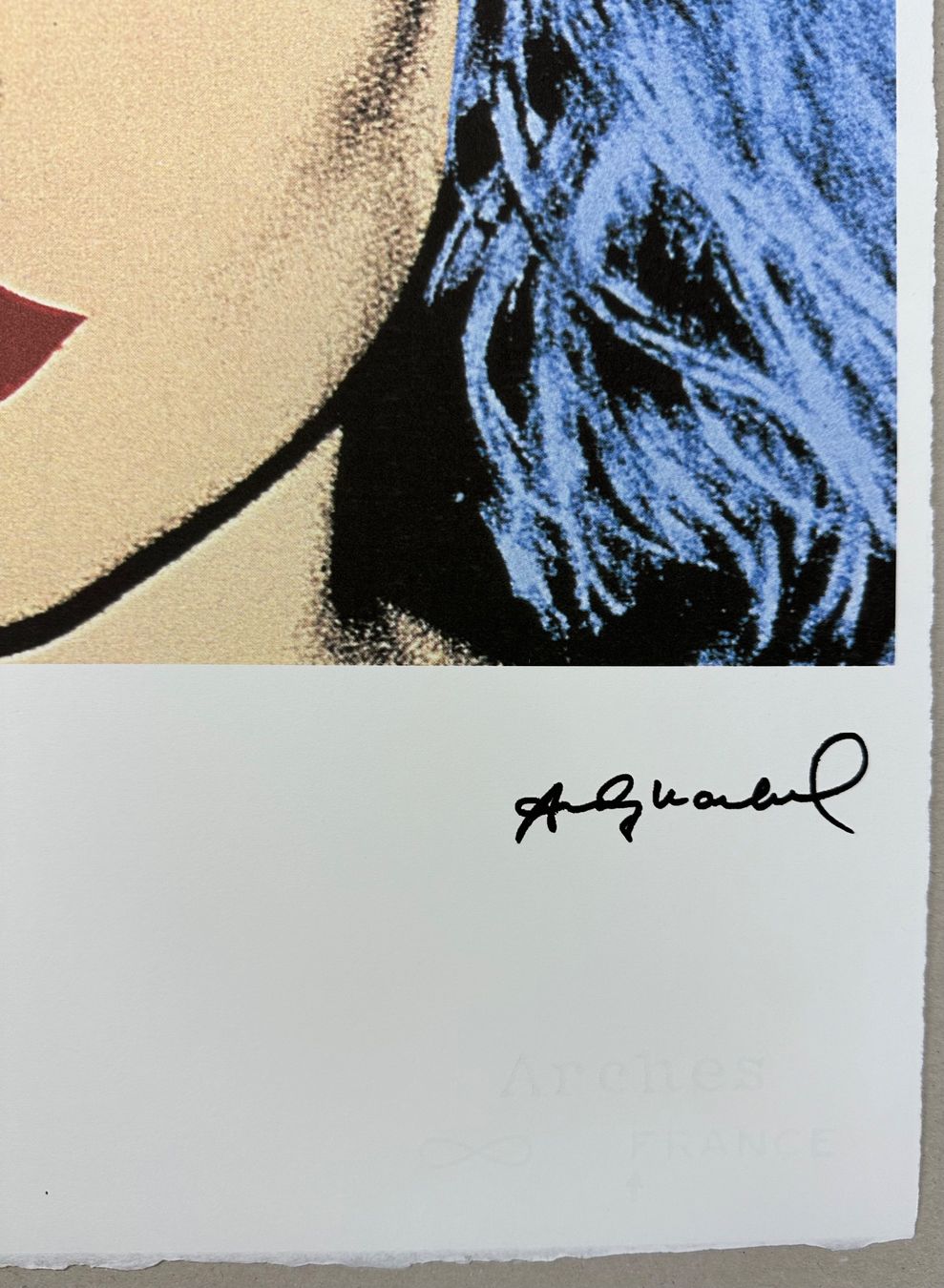 Dipinti: Warhol: Debbie Harry, POP Art 12/100 – Nuovo (secondo la descrizione) da Meilen venduto da Smgdesign 2