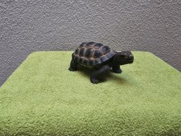 Schildkroete Figur aus Kunststoff braun schwarz gebraucht