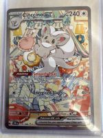 Cinccino ex 119/086