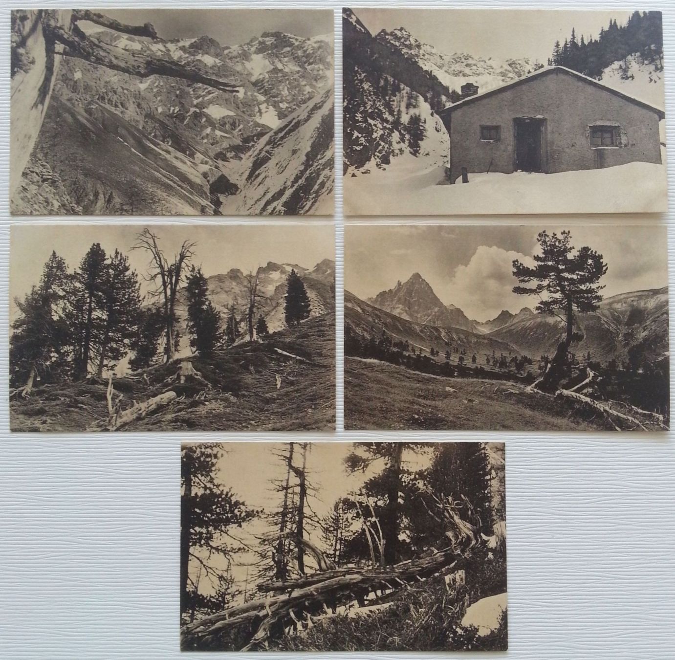 Cartoline postali: AK 5x Schweizerischer Nationalpark, um 1920 – Usato da Oberriet SG venduto da Manick