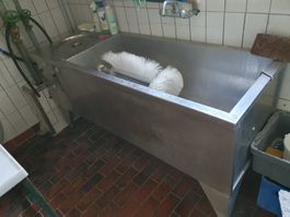 Milchkannenwaschtrog Milchkannenwaschmaschine Wschtrog