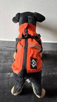 Hunderegenmantel Wasserdicht orange 36cm Reflektierend w4paw