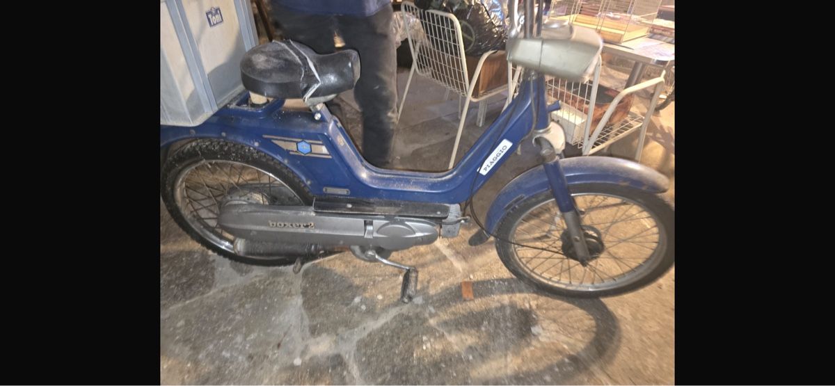 Piaggio Mofas: Piaggio Boxer – Gebraucht aus Losone von val_9rbv
