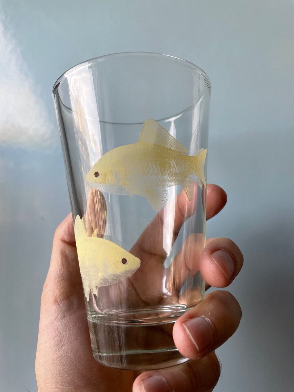 Verres: 2er-Set Fische-Gläser – D'occasion à Buchs SG par Handyman77 1