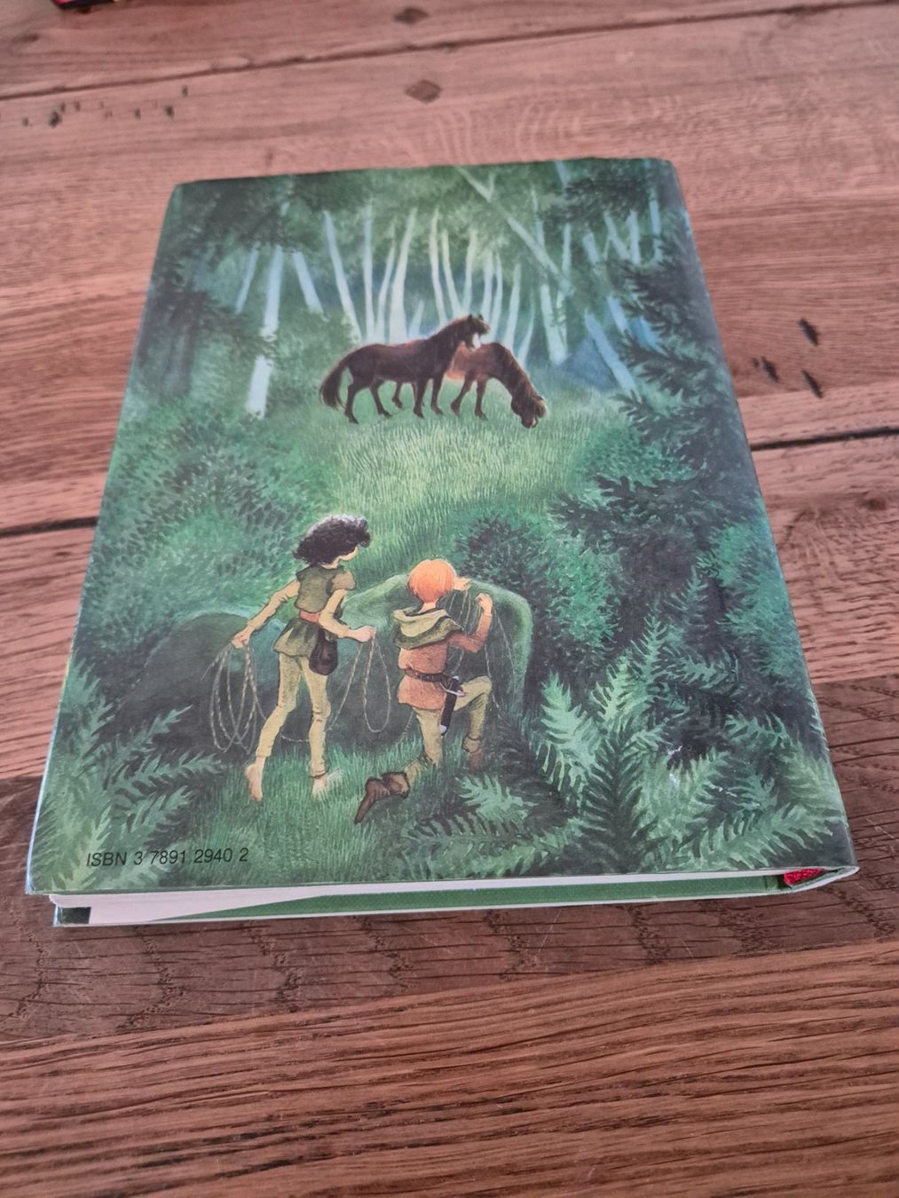 Libri: Ronja Räubertochter, Astrid Lindgren – Usato da Oberdiessbach venduto da Finland1977 5