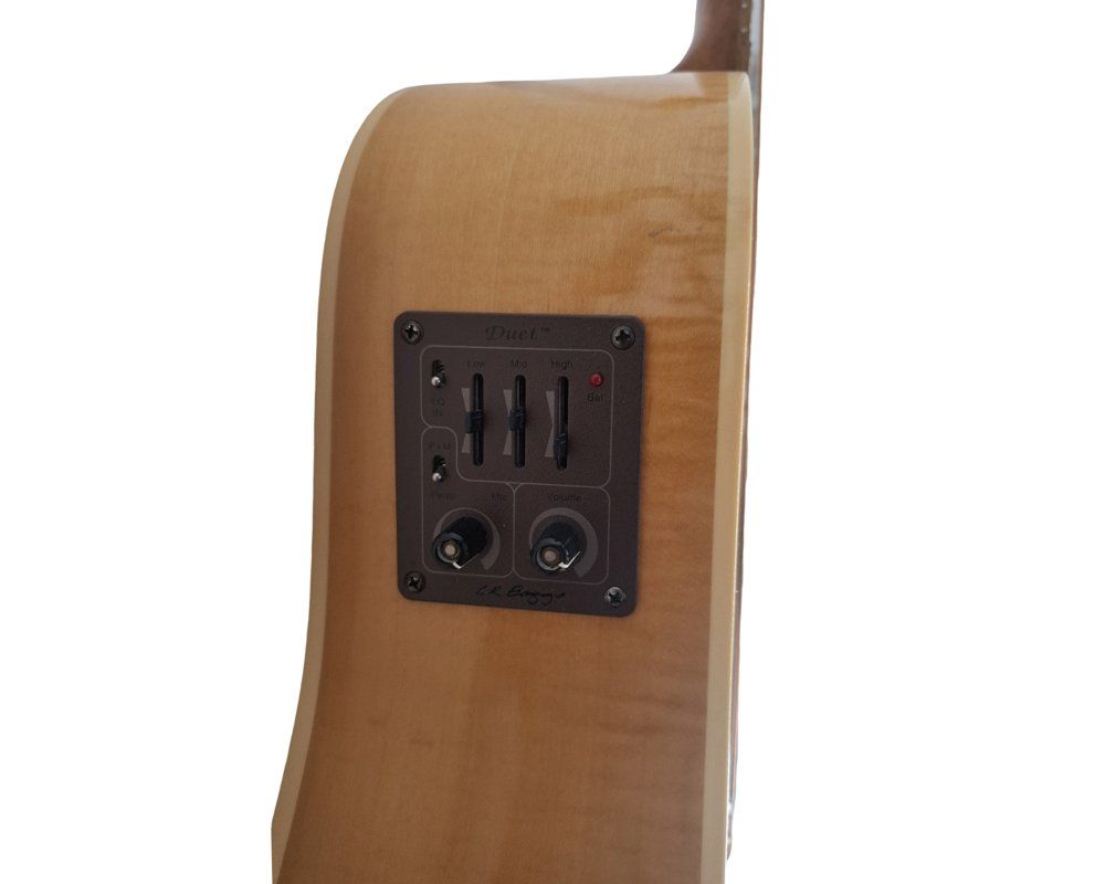 Seagull Instruments de musique: SEAGULL Westerngitarre CW Maple HG Set – D'occasion à Wil SG par Restwert_Wil 4