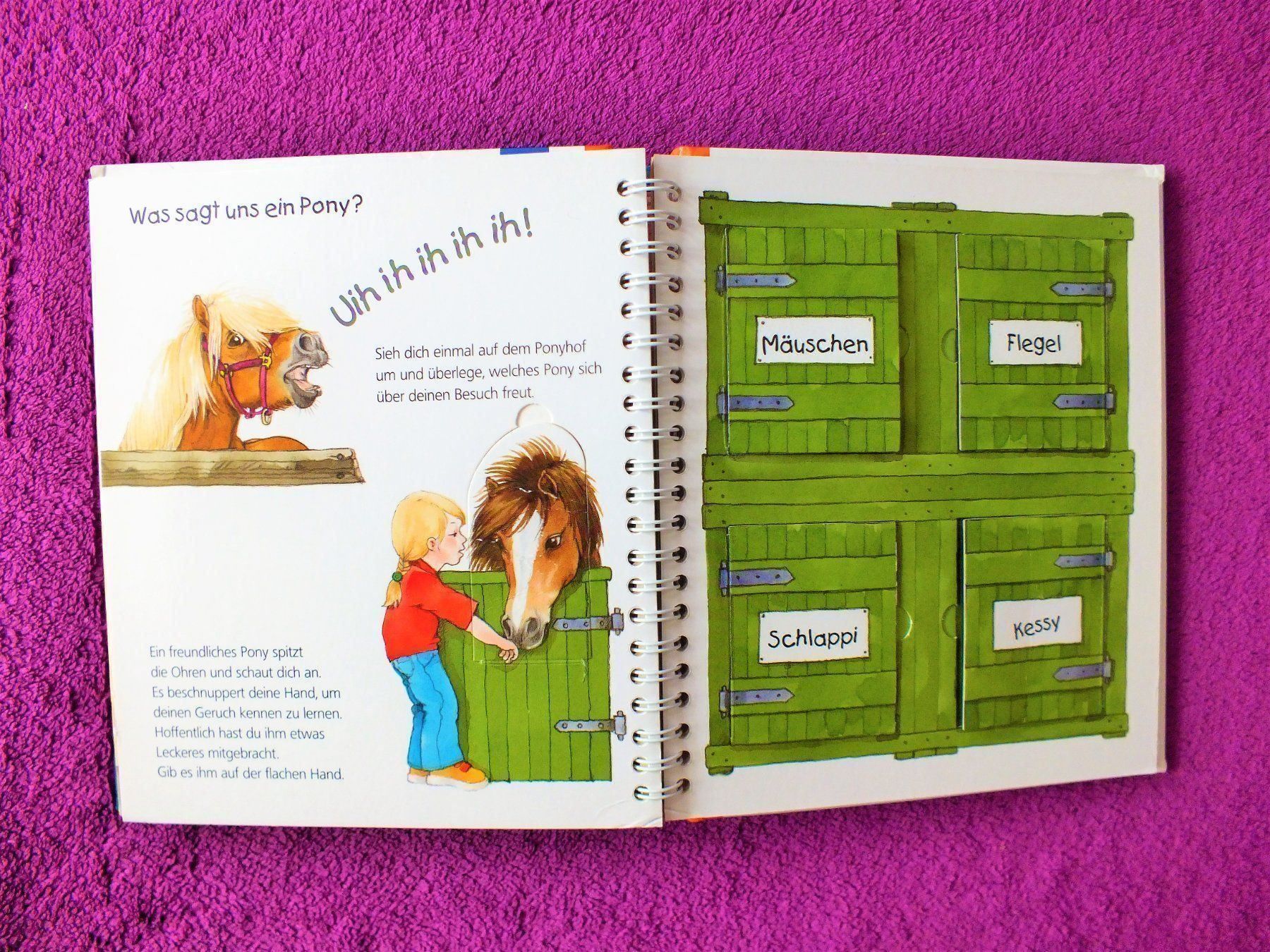 Libri: Wieso Weshalb Warum Junior - Das Pony – Usato da Müllheim Dorf venduto da Seeeule01 6