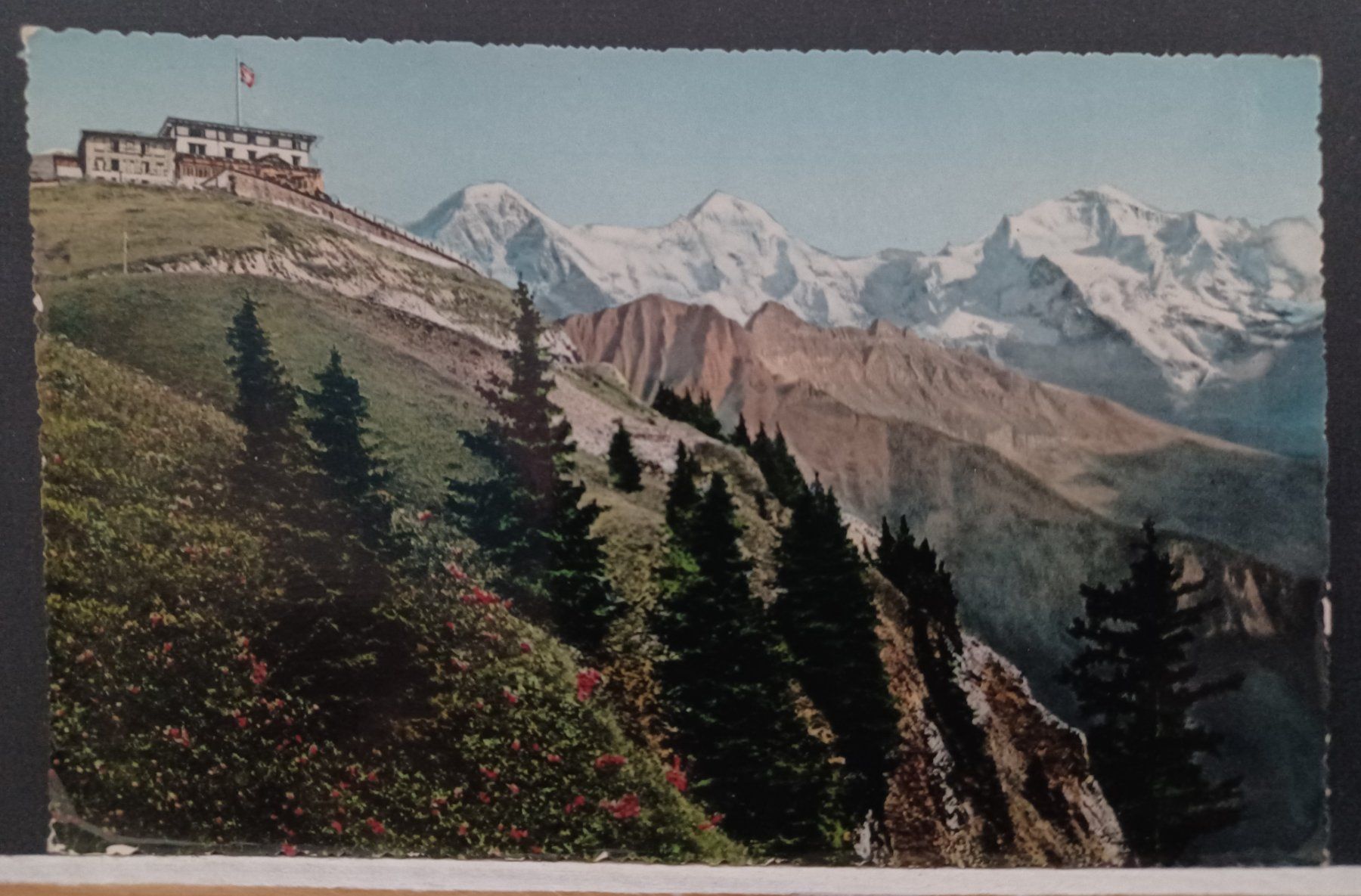 Cartoline postali: BE, Schynige Platte , Berner Oberland, 1956 – Usato da Aarau Rohr venduto da mgvw