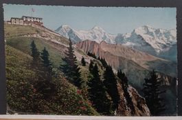 BE, Schynige Platte , Berner Oberland, 1956