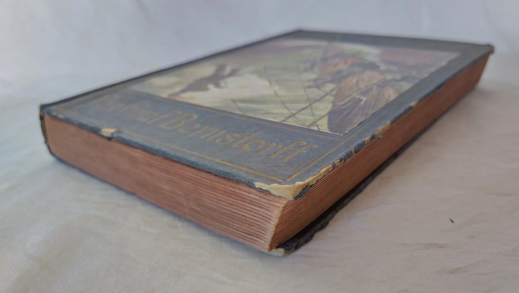 Livres: Willi der Schiffsjunge / Buch ±1925 / Graf Bernstorff – D'occasion à Bellach par JingleJerry 2