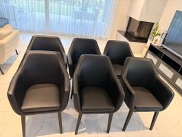 Esszimmertischstühle Schwarz 6 Stk