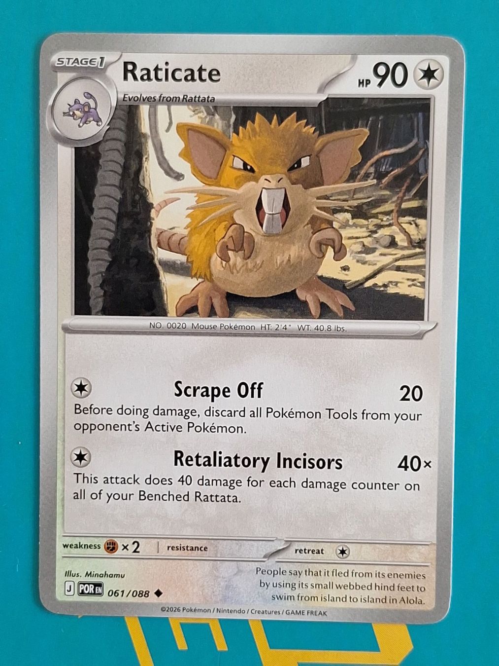 Pokémon Carte collezionabili: Raticate - Pokemon Perfect Order – Usato da Altstätten SG venduto da GGsGameshop
