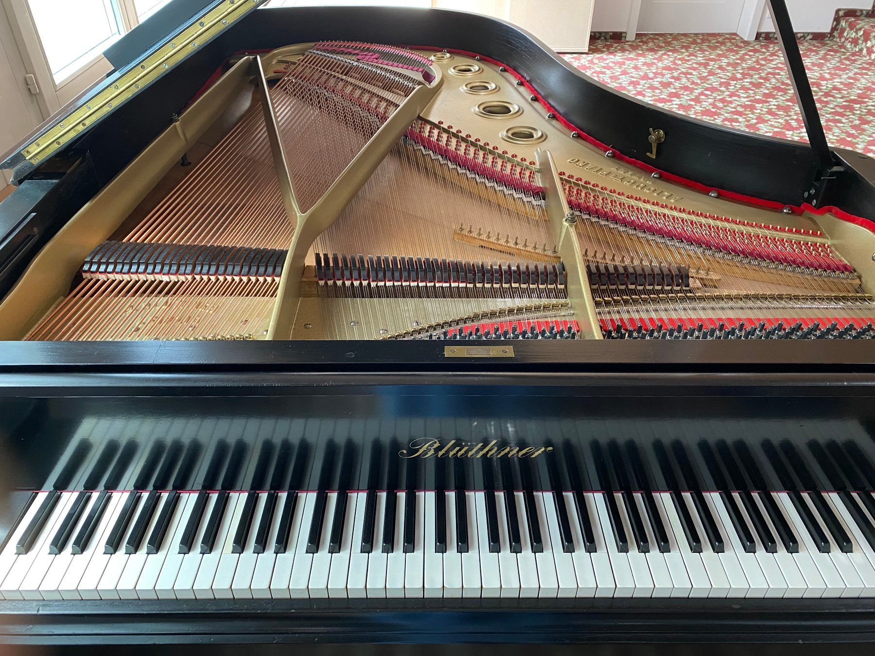 Blüthner Strumenti musicali: Blüthner Flügel mit Aliquot Patent – Usato da Ebnat-Kappel venduto da Lukas33 3