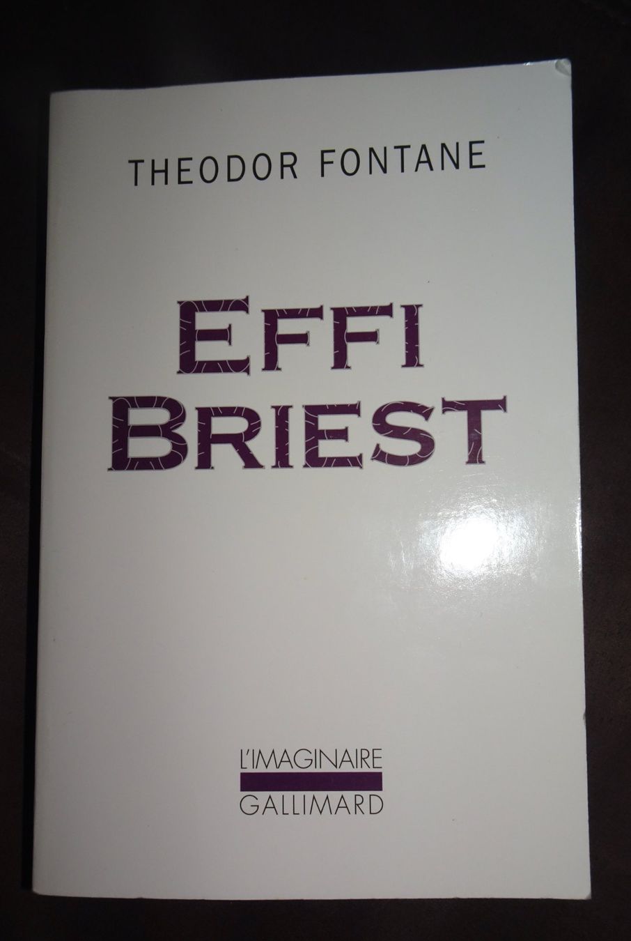 Libri: Effi Briest - Theodor Fontane – Usato da Châtelaine venduto da Gio54321