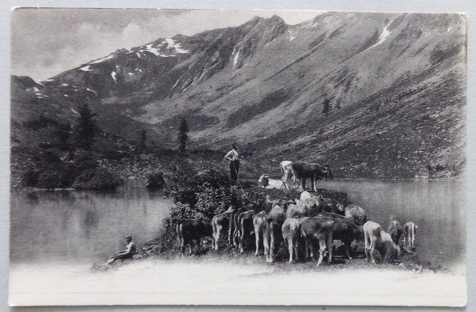 Cartoline postali: Troupeau près d' un lac – Difettoso da Fétigny venduto da Billy2miny