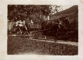 Foto leichter, einspänniger Pferdewagen mit Kutscher