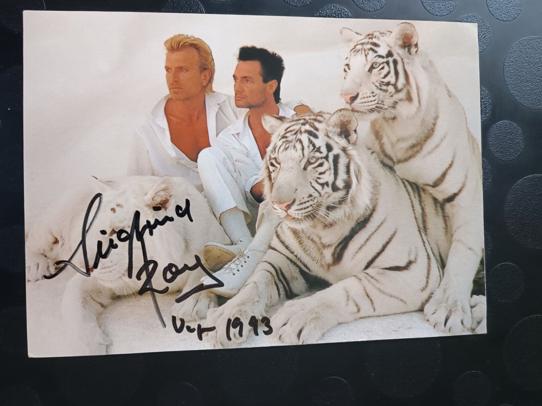 Autogramme: Siegfried & Roy - handsigniert - A5 Autogrammkarte – Gebraucht aus Menziken von Artographs