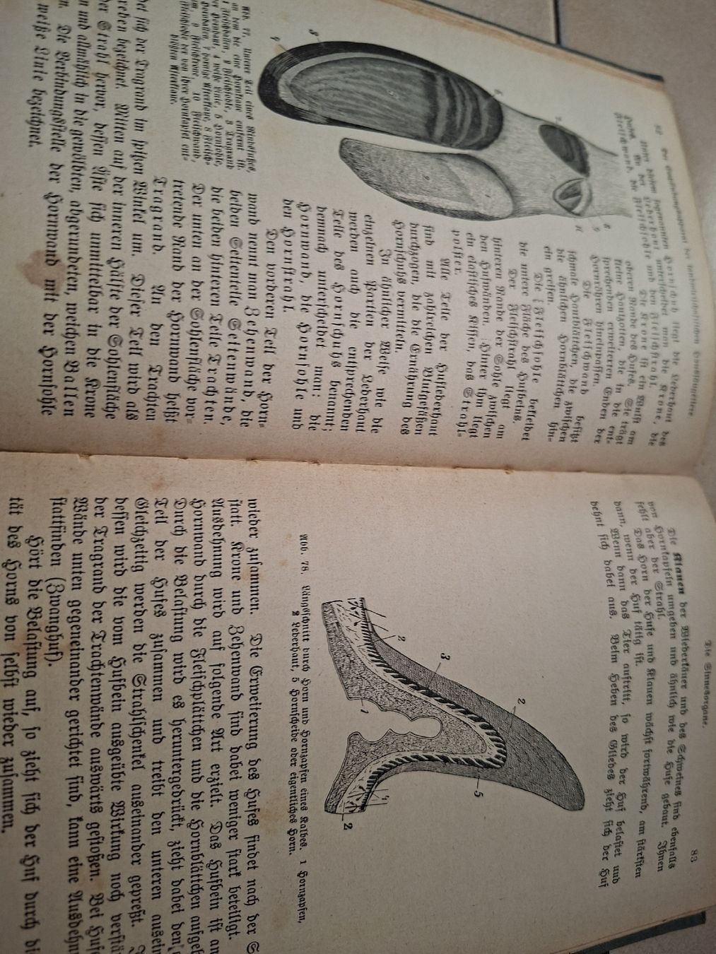 Libri: Bau und Leben – Usato da Meierskappel venduto da rigihans 1