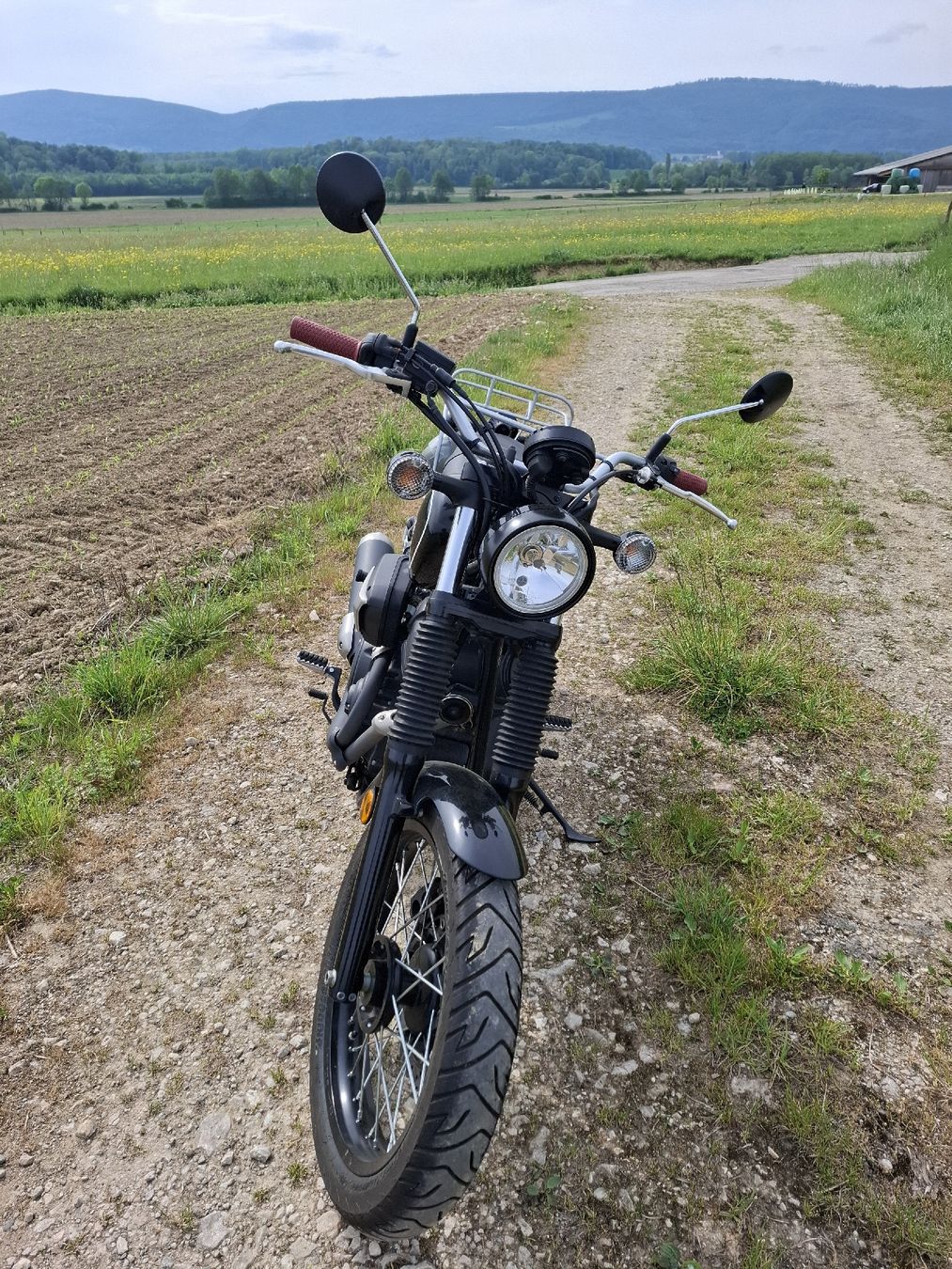 Yamaha Strasse: Yamaha scr 950 – Gebraucht aus Reinach BL von chlaus04 3