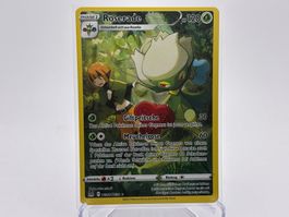 Verlorener Ursprung - Roserade  (LOR TG02) - DE