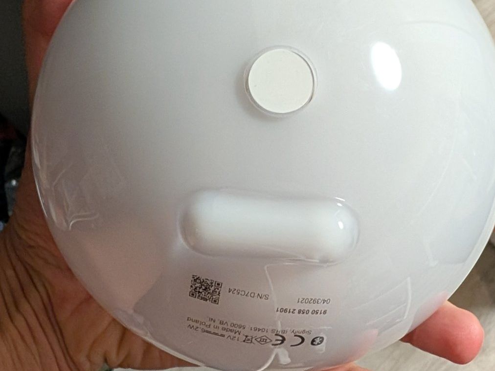 Philips Lampade: Philips Hue Go – Usato da Münsingen venduto da tamiya84 2