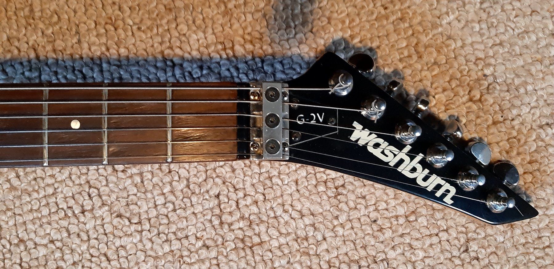 Washburn Strumenti musicali: Washburn 2GV – Usato da Solothurn venduto da Exon 2