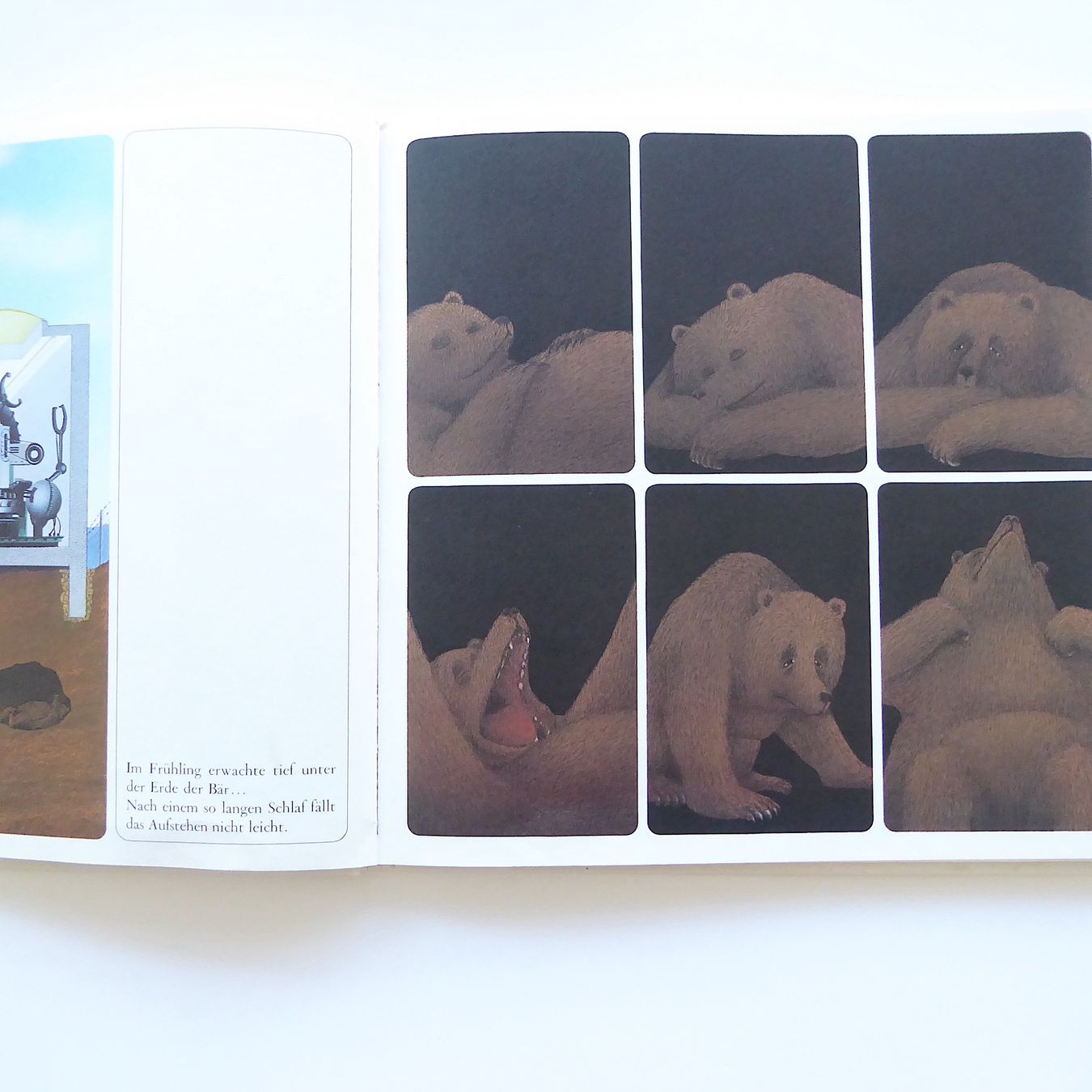 Libri: Der Bär, der ein Bär bleiben wollte – Usato da Basel venduto da Kunterbunt12 5