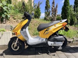 HONDA SZX 50/X8R-S Sport (65km/h)