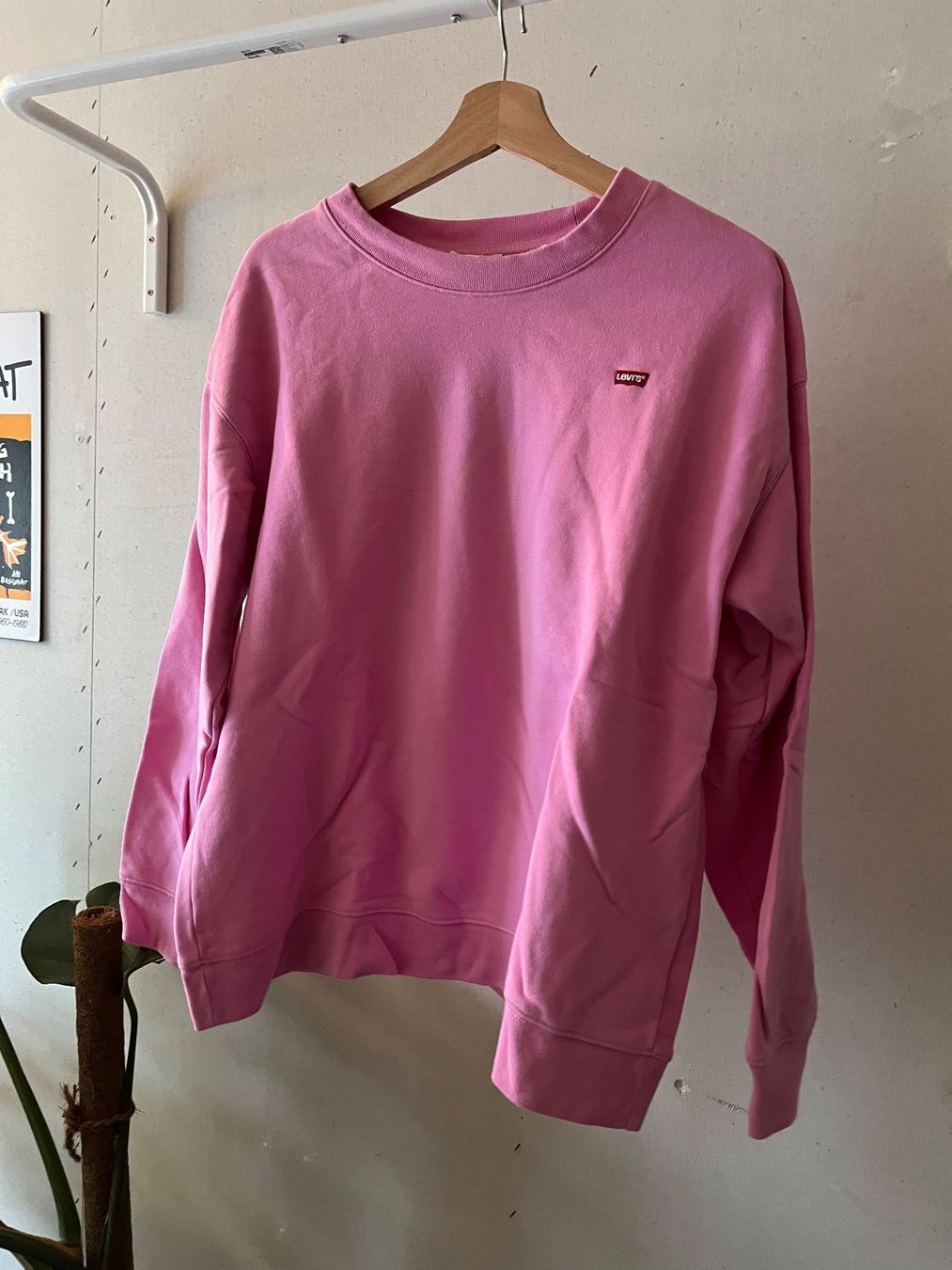 Levi's Maglioni & Felpe: Levis Hoodie – Usato da Basel venduto da lolixyz