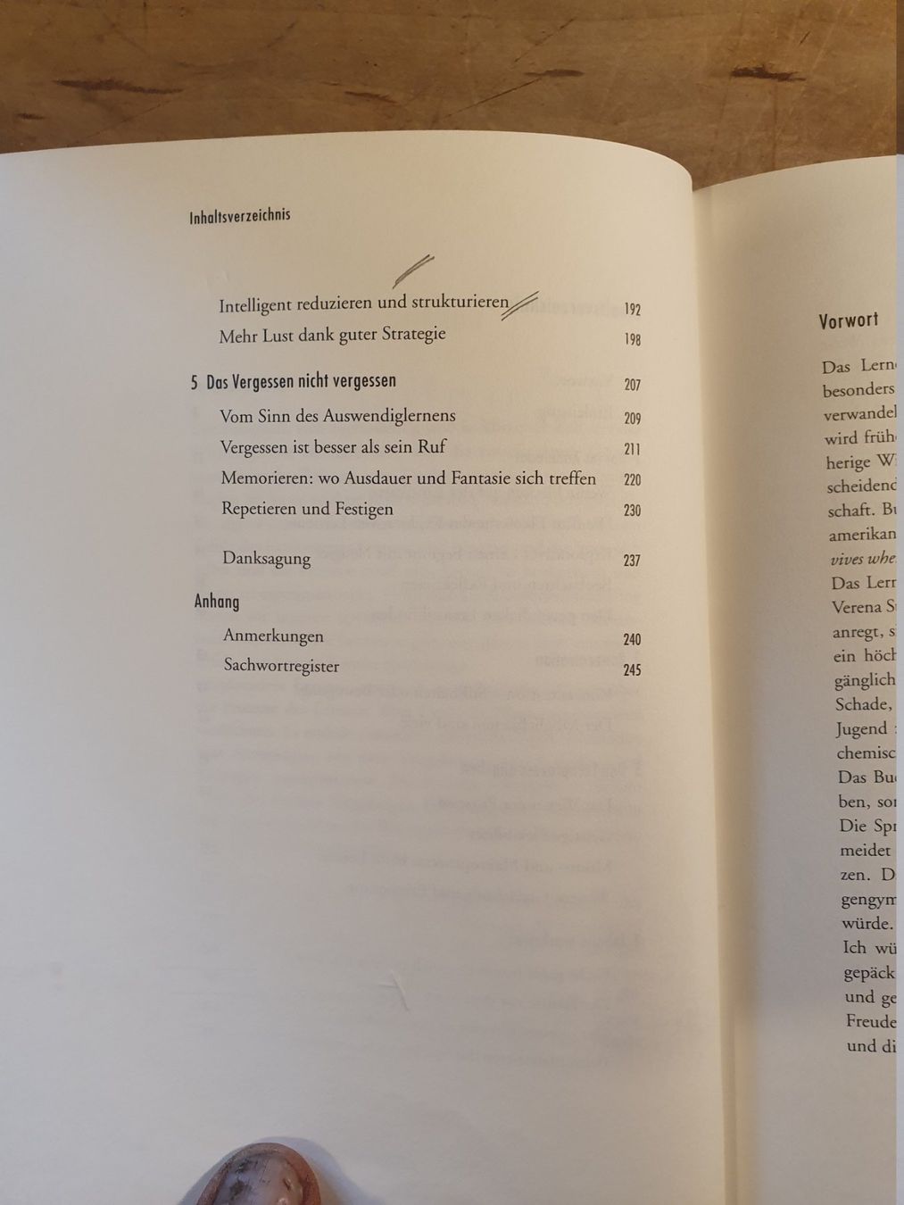 Libri: Exploratives Lernen Verena Steiner Pendo – Usato da Zürich venduto da loosebone 3