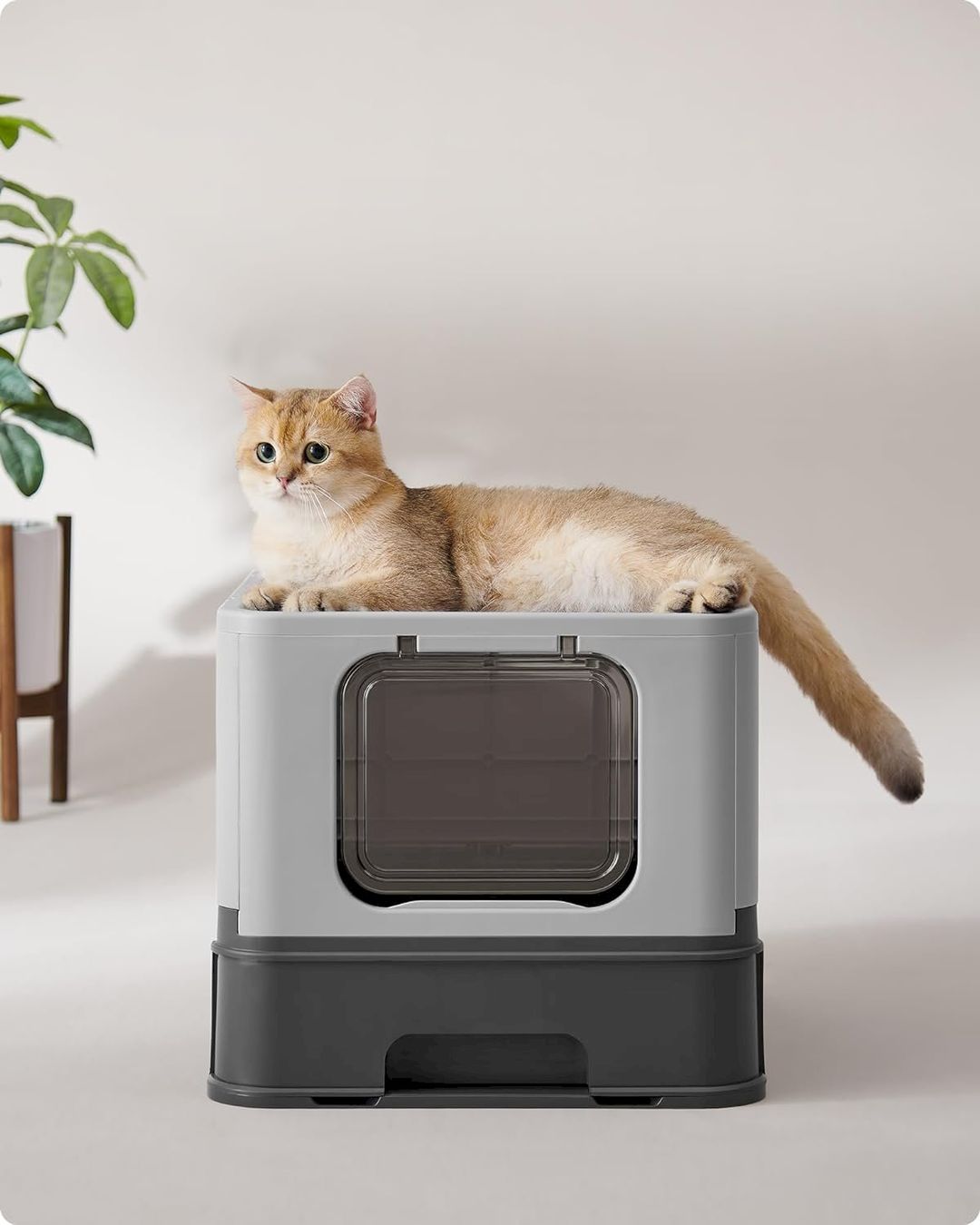 WC: Katzenklo mit Deckel und Schaufel grau – Nuovo e nell'imballaggio originale da Bottighofen venduto da zaap 4