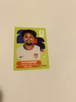 FIFA WM 2026 Weston Mckennie USA 10