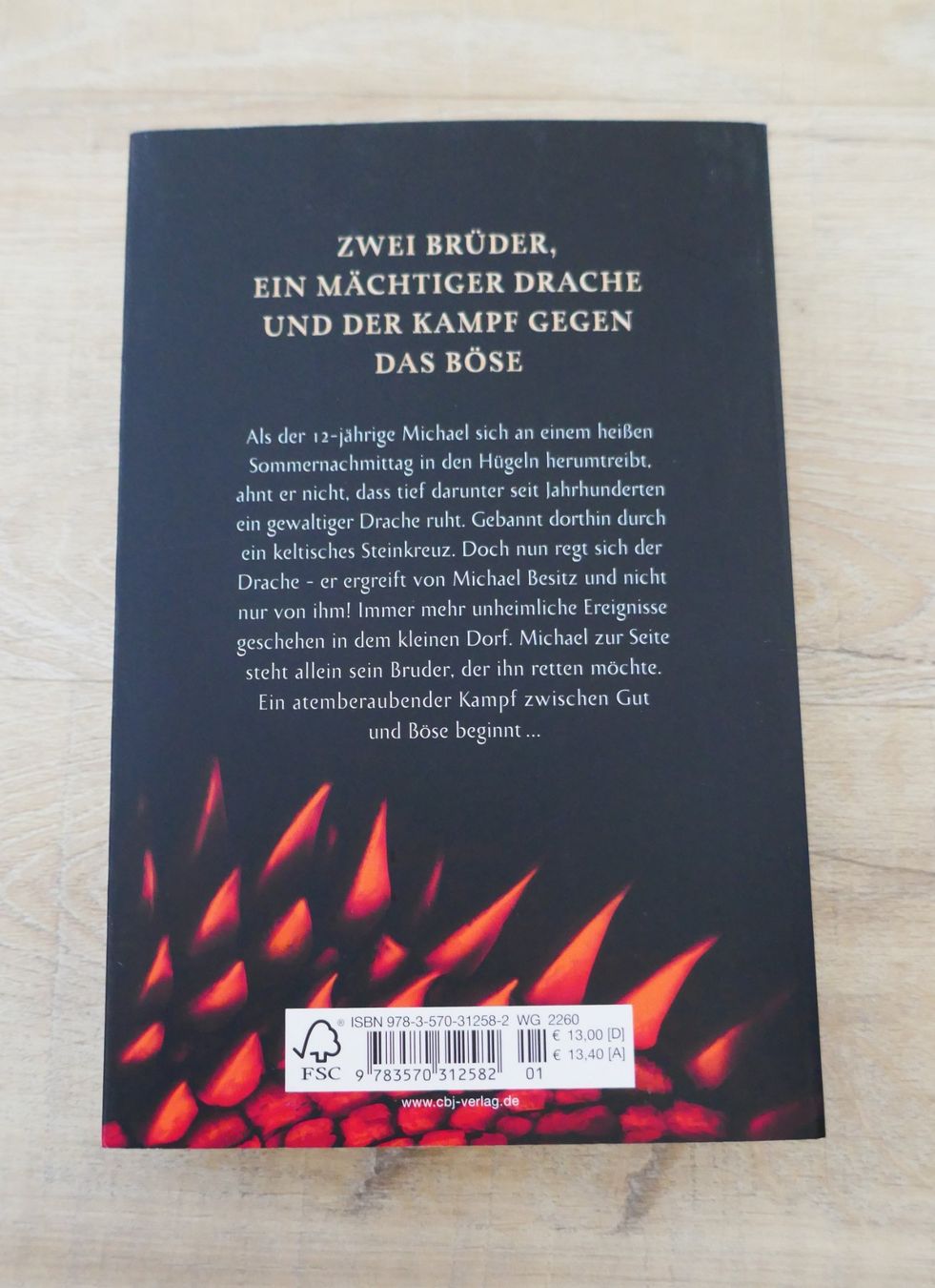 Libri: Drachenglut von Jonathan Stroud – Usato da Port venduto da uzuku 1