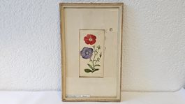Magnifique aquarelle de Bohny-Baur Friedel