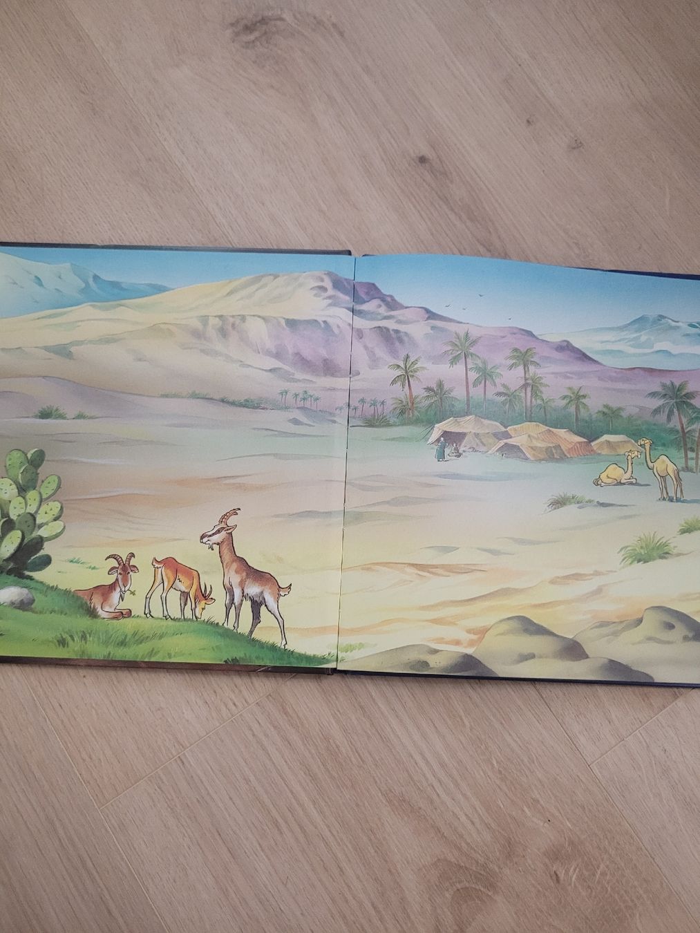 Libri: Buch Das Kind in der Krippe – Usato da Lupsingen venduto da sta_wgg5 2