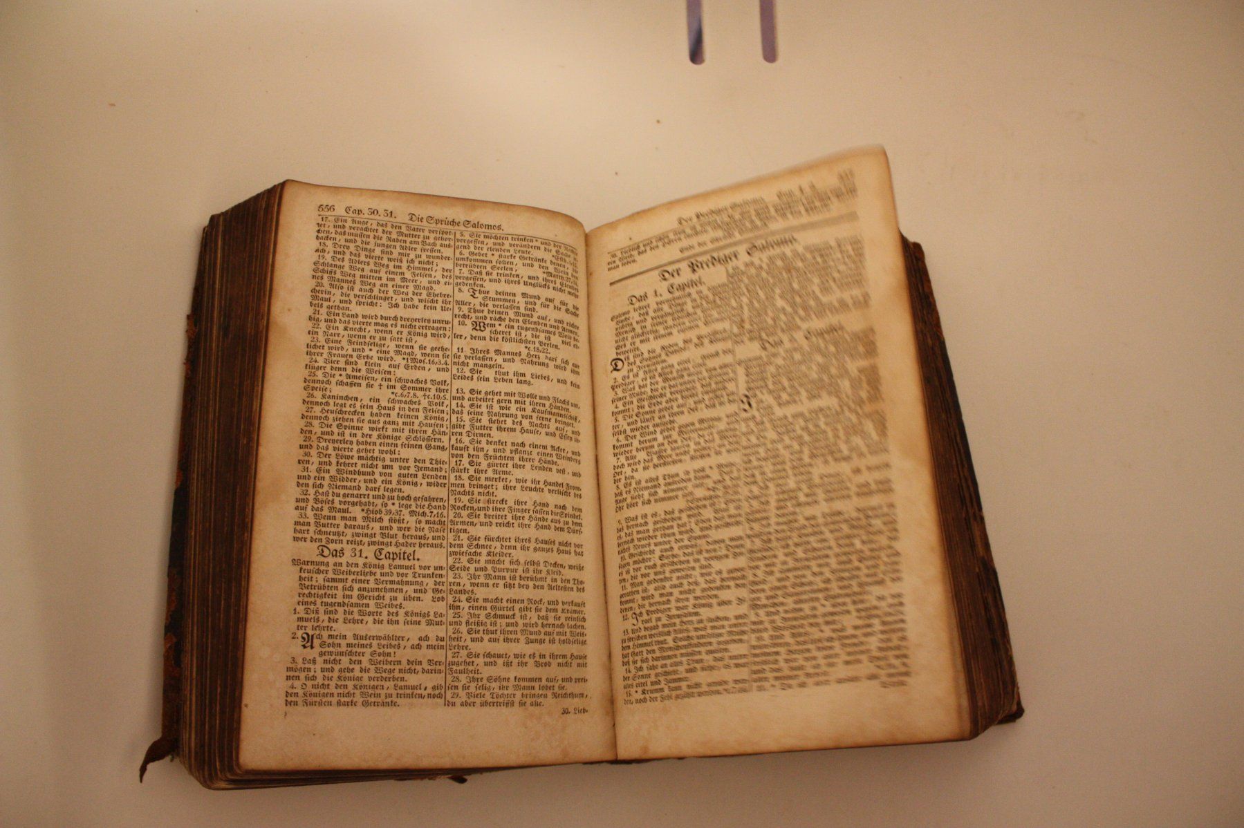 Libri: Antike Bibel – Usato da Altstätten SG venduto da sulim 4
