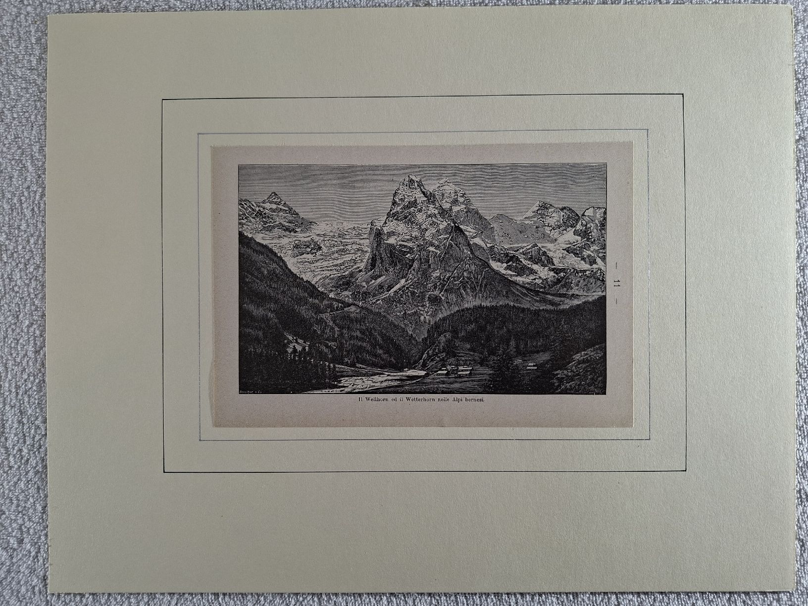 Incisioni: Lot 39 , 6 Stiche  – Usato da Grindelwald venduto da carro5 6