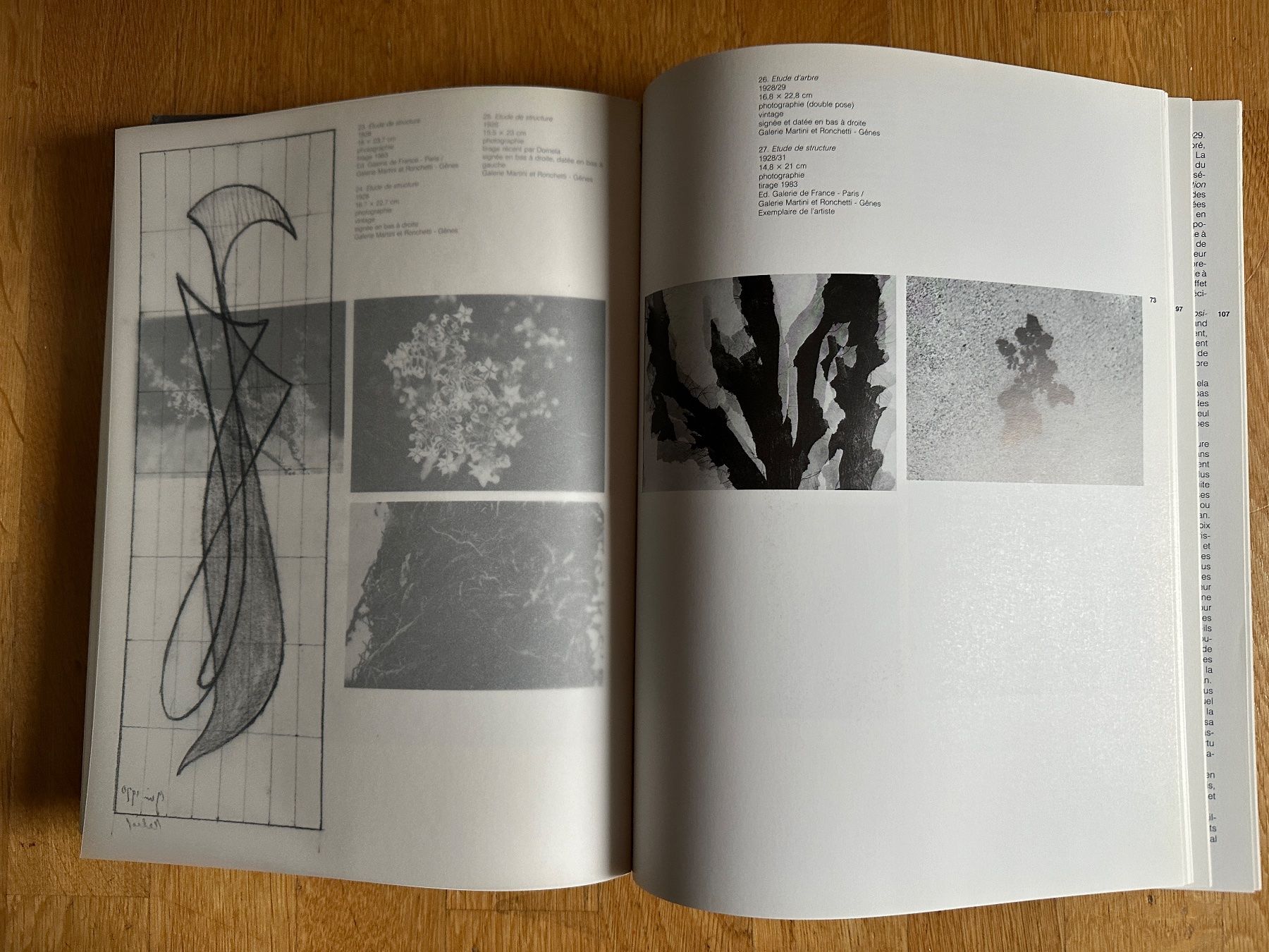 Livres: César Domela: Domela – 65 ans d'abstraction – D'occasion à Zürich par allp 6