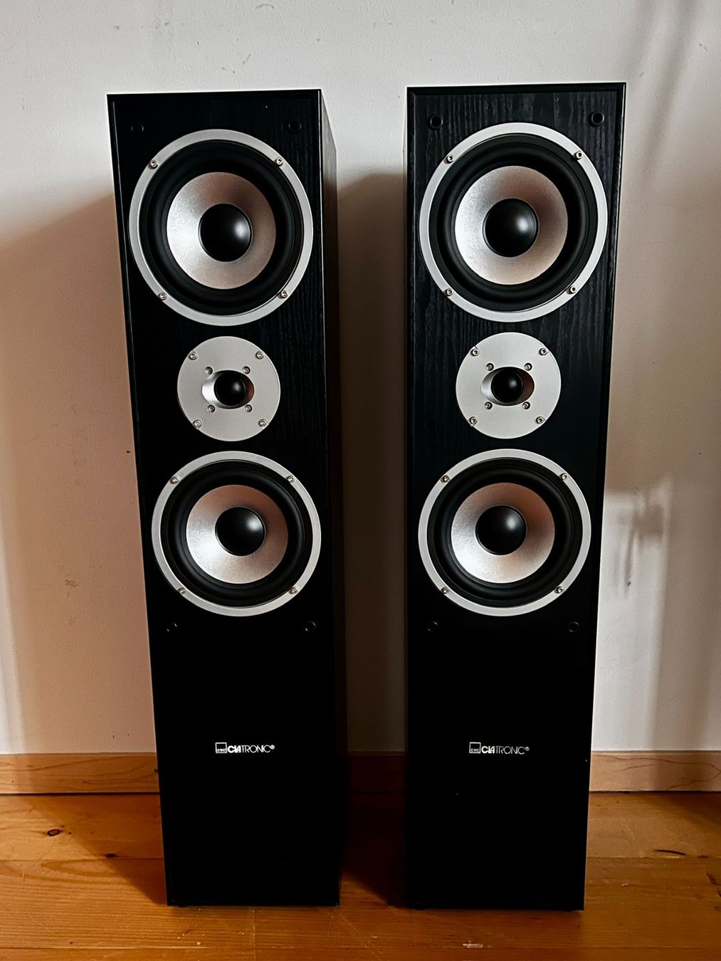 Casse acustiche: Clatronic LB 796 Standlautsprecher – Usato da Hermetschwil-Staff venduto da b6mp 1