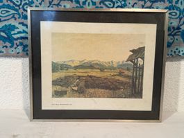 Bild Josef Benz Riedlandschaft gerahmt gebraucht