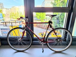 Schönes Kristall Velo - City-Flitzer -10 Gänge - gepflegt
