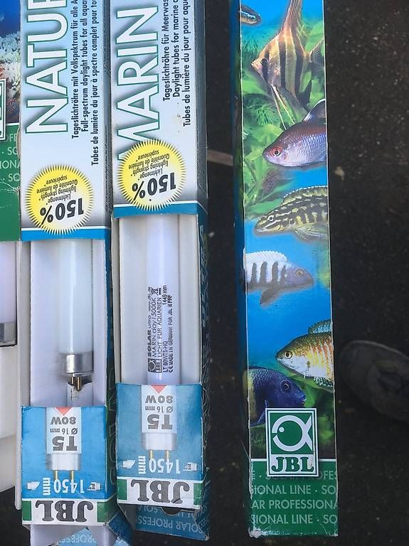 Lampen: Leuchtstoffröhre 80W Marine Day – Neu und originalverpackt aus Thörishaus von Bauteilboerse_T-haus