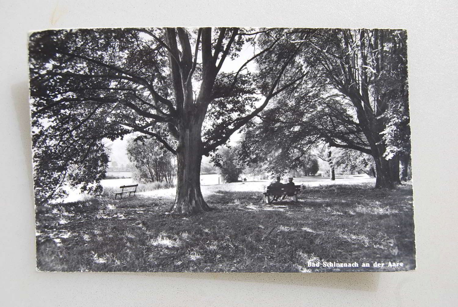 Cartoline postali: AK Bad Schinznach an der Aare 1964 – Usato da Rüfenacht BE venduto da Toro06